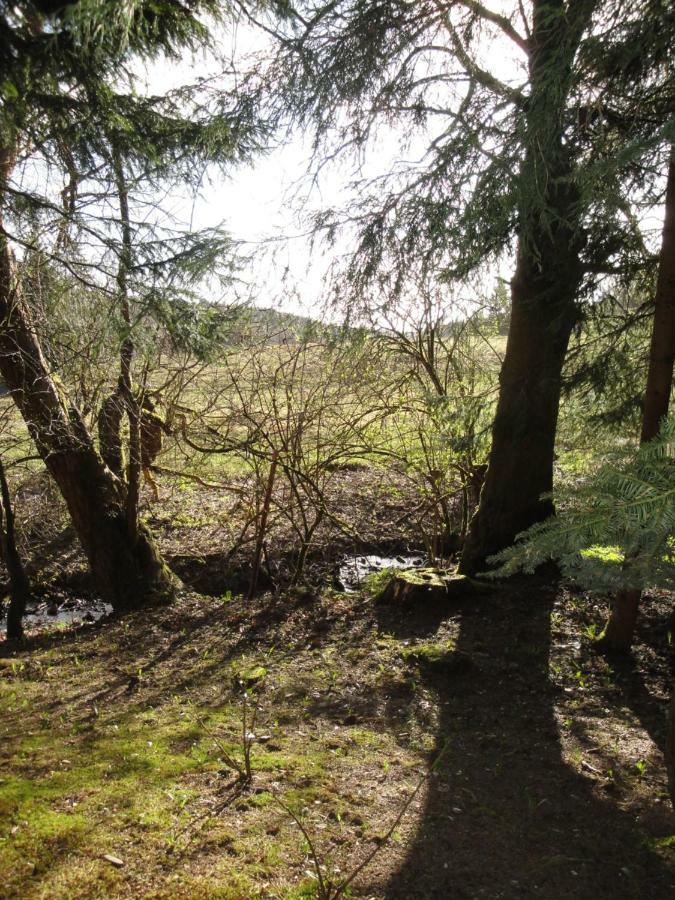 Ferienwohnung Wandervogel 브라운라제 외부 사진